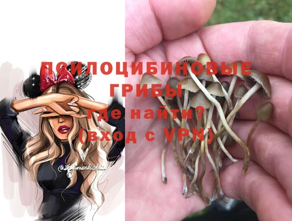 бутират Алексин